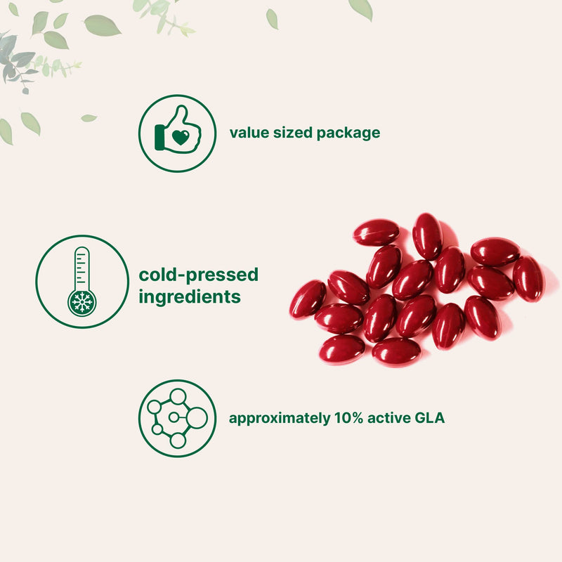 [Australia] - Micro Ingredients Evening Primrose Oil 1300mg Perserving, 240 Softgels | Enhanced with 40mg Black Cohosh Extract, Cold Pressed – 10% Active GLA, Non-GMO, No Gluten, Easy to Swallow 