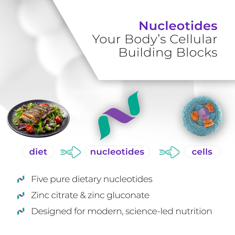 Nucleozin Complete (60 Capsules) | Zinc Citrate & Gluconate with Dietary Nucleotides | High Absorption Vegan Zinc Supplement for DNA, Cognitive, Immune & Cellular Health | Gluten & Additive-Free