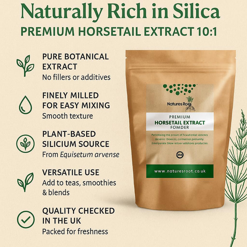 Horsetail Extract Powder 10:1 – Natural Silica Supplement by Nature’s Root – Premium Horse Tail Herb – Silicium-Rich Botanical Powder for Smoothies & Teas – Vegan, Pure, Filler-Free (200g)