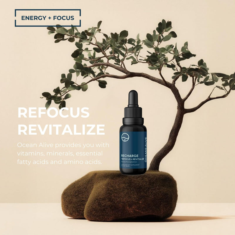 [Australia] - Activation Oceans Alive | 1 fl oz (30 ml) | Marine Phytoplankton Supplement | Chlorophyll & Mineral-Rich Formula for Energy & Focus | Natural Antioxidant Drops 