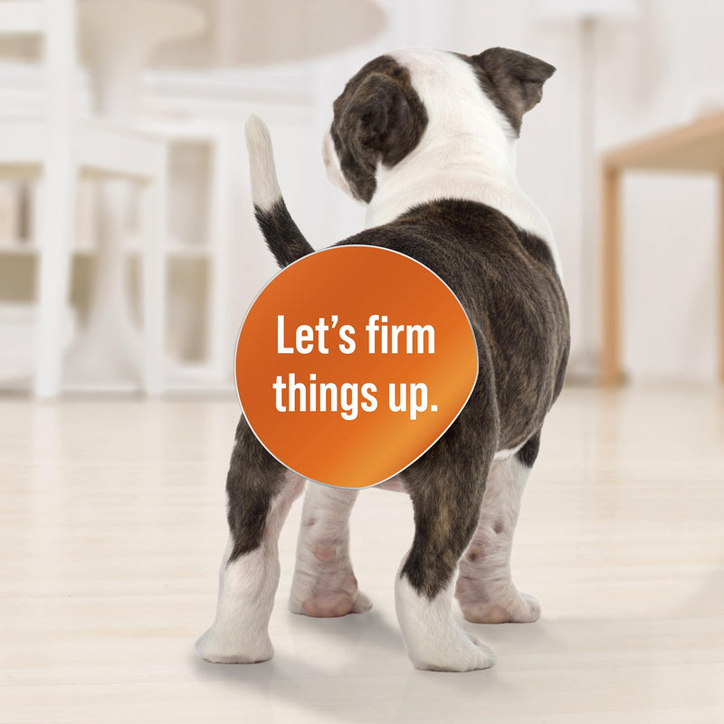 DiaGel for Small Dogs - Natural Dog Supplements to Help Maintain Digestive Health & Function - Oral Gel to Help Control Diarrhea - Natural Pet Products - PawsPlanet Australia
