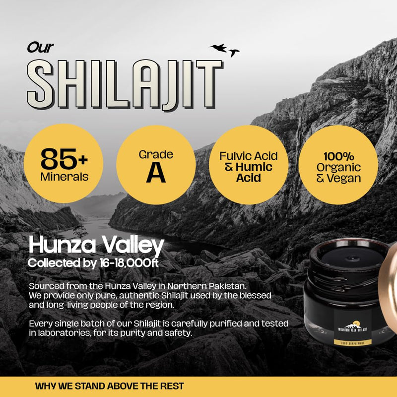 Resin – Pure Himalayan Shilajit Resin, Rich in Fulvic & Humic Acid – Supports Stamina, Immune System & Vitality – (30g) Jar