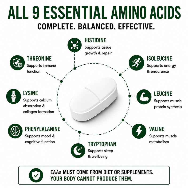 Essential Amino Acids – 300 Tablets | Full Spectrum EAAs with BCAAs | Vegan-Friendly | UK Made | High-Strength Amino Supplement