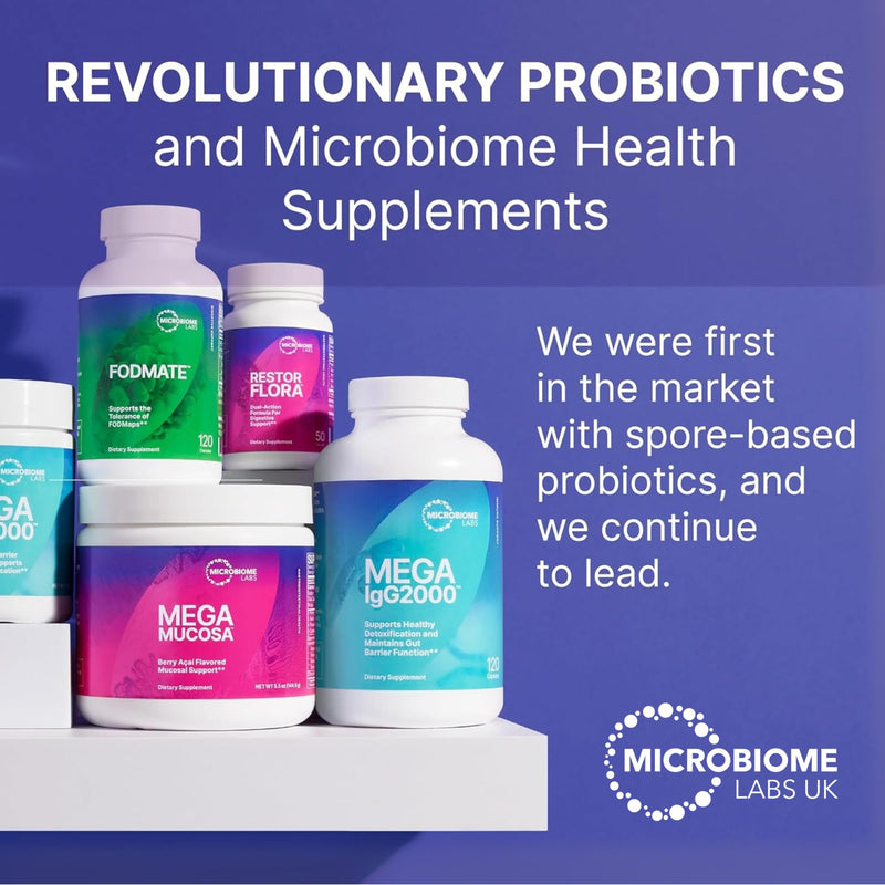 Microbiome Labs MegaSporeBiotic Plus with Antioxidants - Spore Based Probiotic, Active Bacteria Supplement to Boost Akkermansia, 4 Bacillus Strains for Gut Health - Vegan Probiotics - 60 Capsules Megasporebiotic Plus Antioxidants