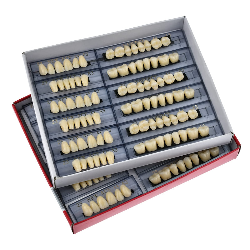 [Australia] - 168 Pcs Dental Synthetic Resin Tooth Denture 3 Sets False Teeth 23 A3 Upper Lower Shade Dental for Halloween Horror Teeth 