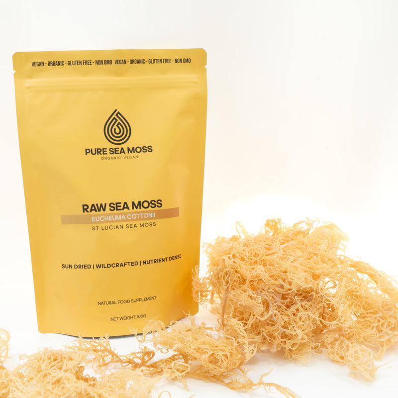 Raw Dried Sea Moss 100g | Pure Sea Moss Organic-Vegan, for Homemade Sea Moss Gel