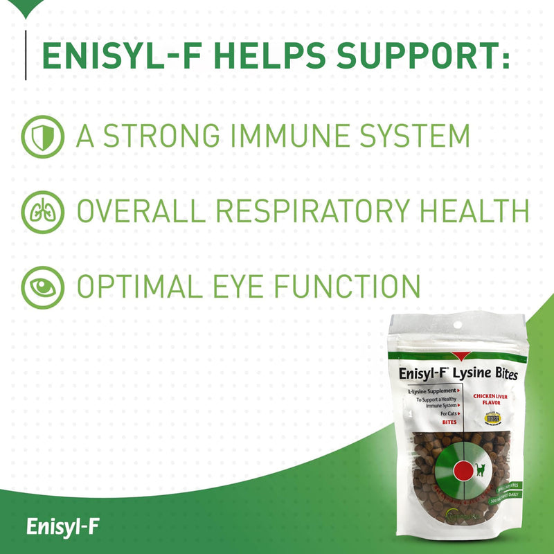 [Australia] - Vetoquinol Enisyl-F Lysine Bites: L-Lysine Chews for Cats & Kittens - Chicken Liver-Flavor, 6.4oz (180g) Recloseable Bag 