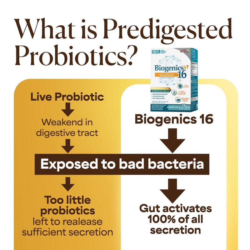 LABO Nutrition Biogenics 16–Lactic Acid Bacteria Fermented Extract, 1000x More Effective, Gut Health Support Beyond Probiotics & Prebiotics, Improve Intestinal Skin and Immune Health, 10mlx15 sachets