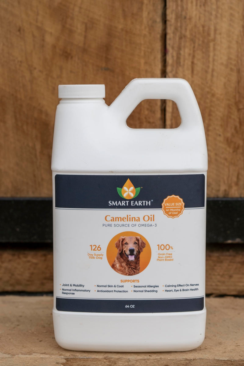 Camelina Oil for Dogs - Omega 3, 6, 9 Supplement for Healthy Skin, Shiny Coat & Flexible Joints - Dog Joint Supplement - Natural Canine Wellness - Omega 3 for Dogs (Pump Included - 64oz) 64 Ounce - PawsPlanet Australia
