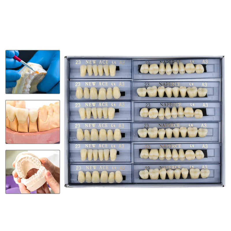 [Australia] - 168 Pcs Dental Synthetic Resin Tooth Denture 3 Sets False Teeth 23 A3 Upper Lower Shade Dental for Halloween Horror Teeth 