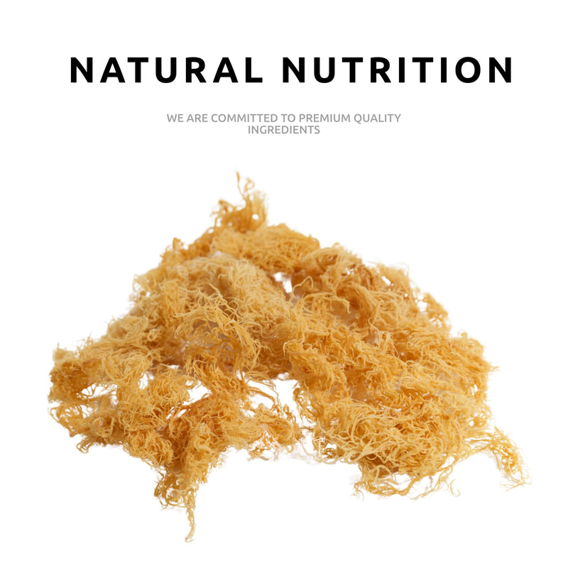 Raw Dried Sea Moss 100g | Pure Sea Moss Organic-Vegan, for Homemade Sea Moss Gel