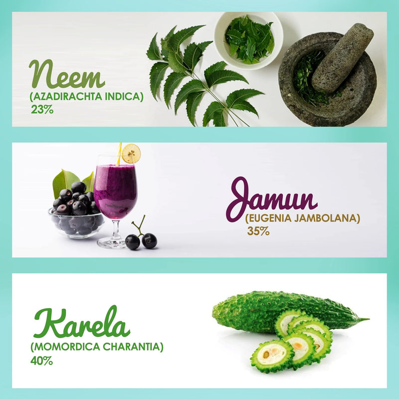 [Australia] - Herbal and Ayurvedic Neem Karela Jamun Juice 500ml 
