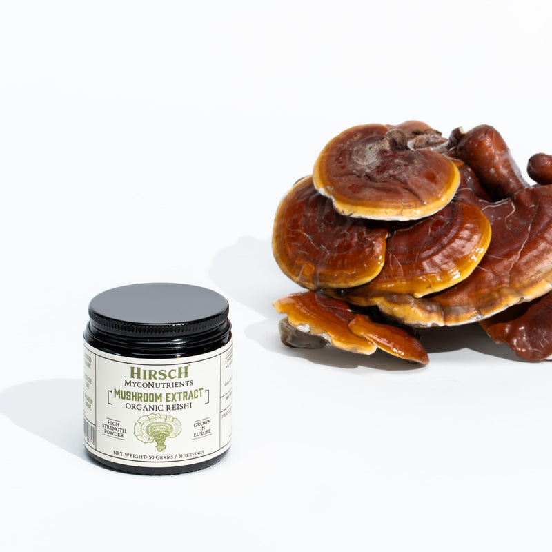 Hirsch Organic Reishi High Strength Mushroom Extract Powder - Organically Grown in The EU - Non-GMO - No Added Fillers
