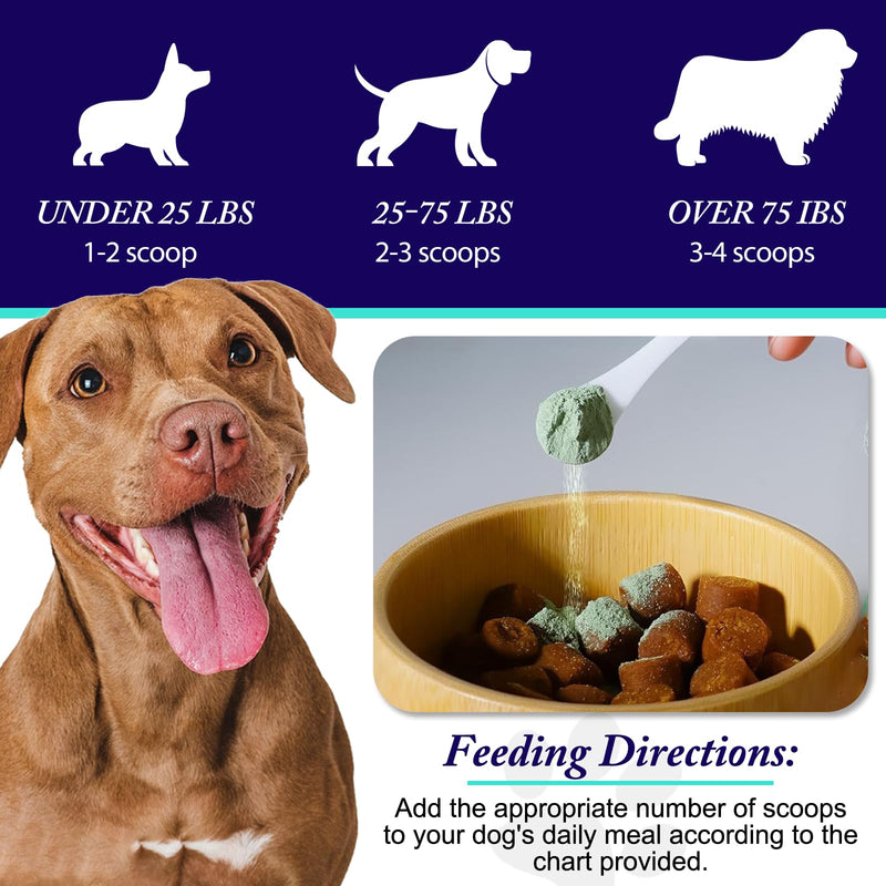 Dog Dental Powder - Dog Teeth Cleaning Powder - Dog Dental Care - Targets Tartar & Reduces Plaque & Bad Breath - Teeth Cleaning Made Easy Eliminate - Formulated for Small, Medium, Large Dogs - PawsPlanet Australia