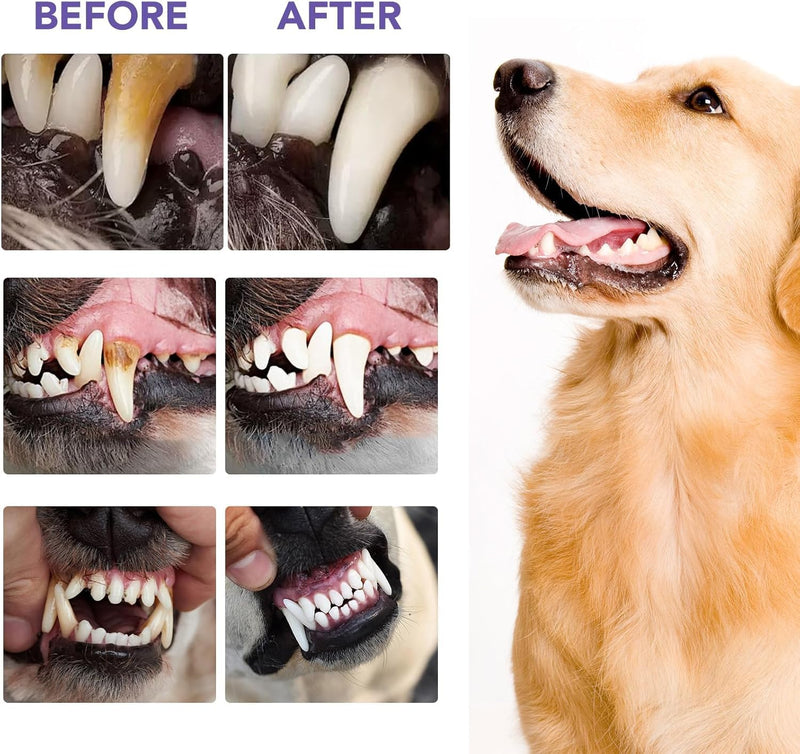 Dog Teeth Cleaning Powder for Dog Bad Breath Treatment, Dog Dental Powder for Dog Breath Freshener with Probiotics, Plaque Tartar Off Dog Tooth Powder Made Easy, Dog Dental Care, All Types Dogs - PawsPlanet Australia