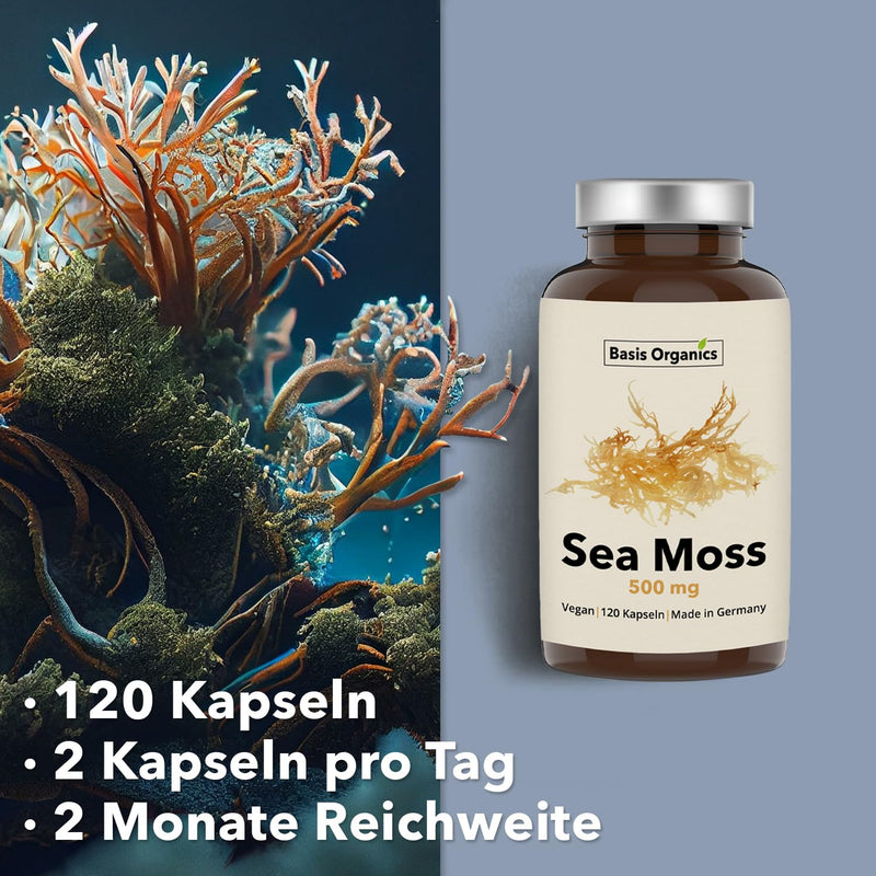 [Australia] - Sea Moss capsules from the alga Irish Moss - 100% natural cartilage kelp, sea moss from wild collection - Stimulates hair growth - Produced & laboratory tested in Germany - 120 capsules (60 days) 