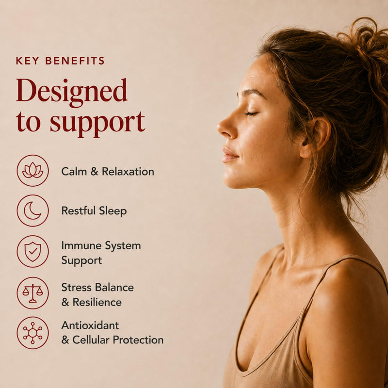 Ancient Extracts Reishi Mushroom Powder 15:1 Extract (60 servings) | Promotes Immune Health & Stress Support | 1 Serving Equals 15,000mg of Raw Mushroom | 30% Beta Glucans | Tested for Purity & Safety