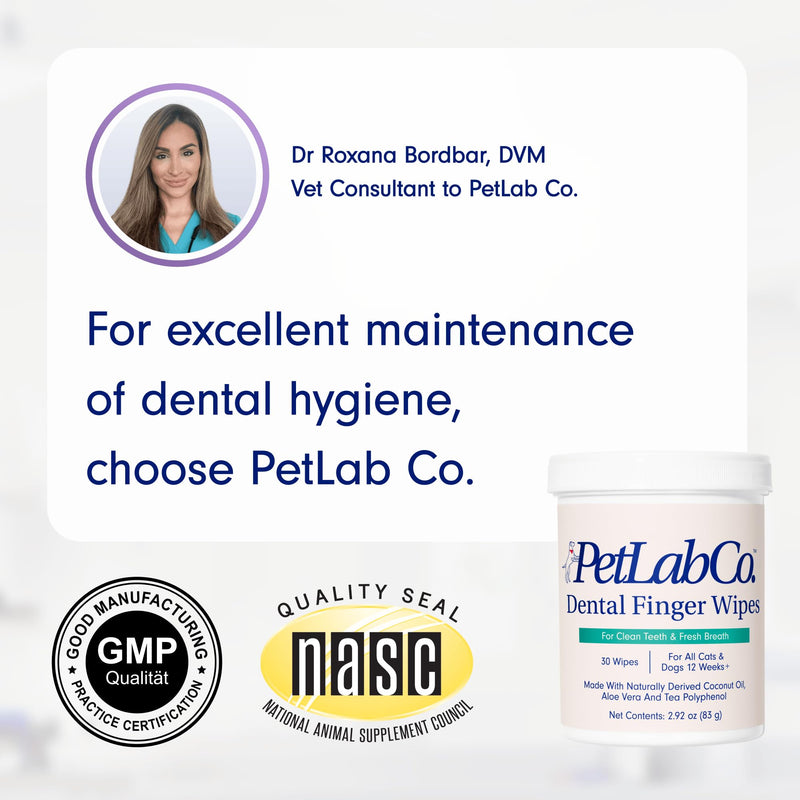 PetLab Co. Dental Finger Wipes - Easy to Use Dog & Cat Teeth Cleaner - Freshens Breath & Provides A Thorough Clean – Supports Overall Oral Hygiene – Alcohol & Fragrance Free - PawsPlanet Australia