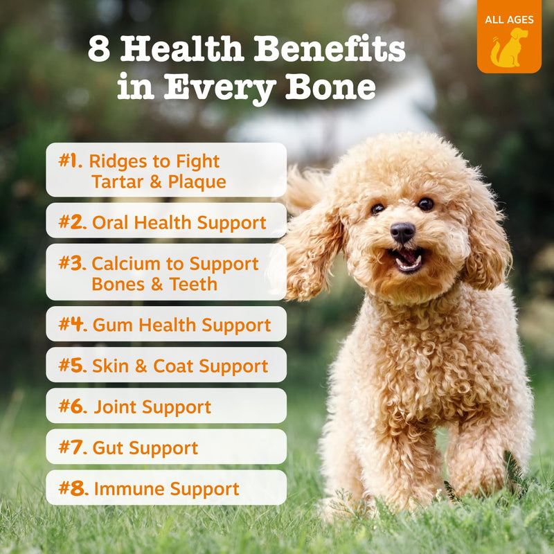 Zesty Paws Dental Bones - Fights Tartar & Plaque - Gum, Teeth & Bone Health - Cinnamon for Dog Breath - Immune, Joint, Gut, Skin & Coat Support - Omega 3 EPA & DHA and Calcium - Small Dogs - 28 ct… Small Bones 0.3 Ounce (Pack of 28) - PawsPlanet Australia