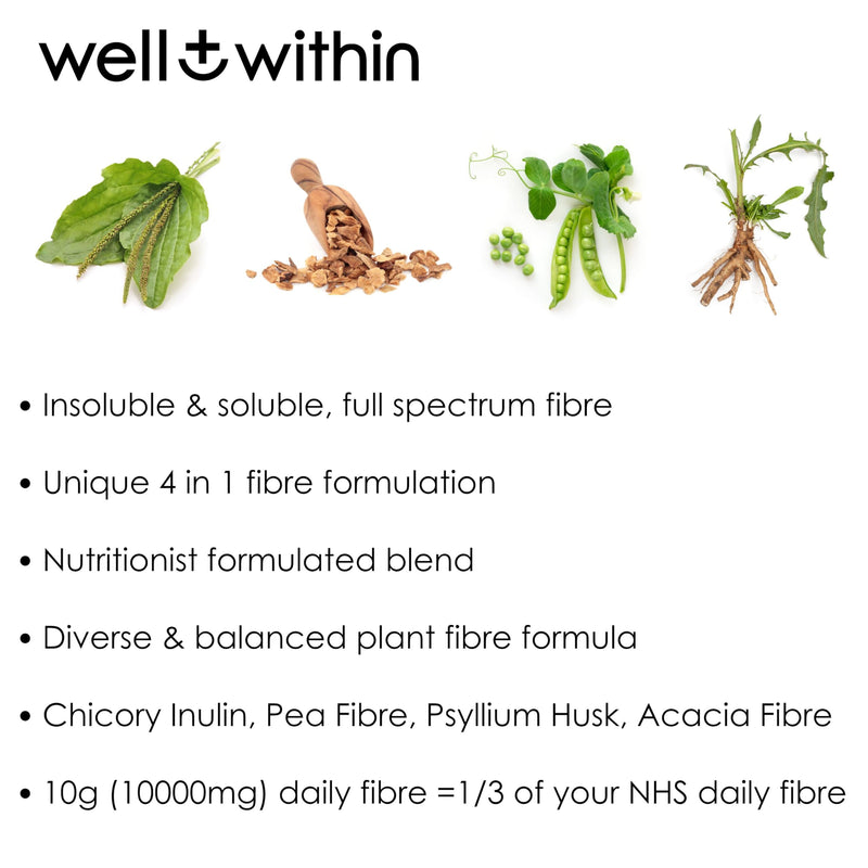 10g Fibre Supplement Powder, 1/3 NHS Daily Intake, 4in1 Insoluble & Soluble Fibre Powder, 4 Types of Fiber (200g Bag, 2 Servings = 10g Fiber) Well Within. for Men, Women & Kids Soluble + Insoluble Fibre