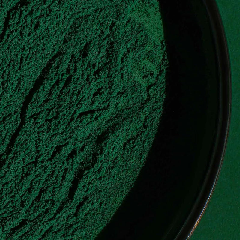 Klamath Lake BioActive Blue-Green Algae JUICE Powder - Wild Harvested (60g) 60 g (Pack of 1)
