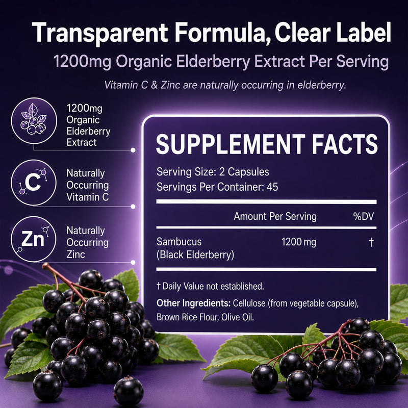 Elvera Elderberry Gut Support with 1200mg Elderberry Extract, Vitamin C and Zinc | Daily Immune & Digestive Balance for Everyday Wellness & Healthy Metabolism 90 Capsules