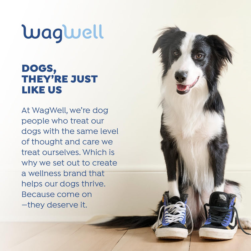 WagWell Ahiflower Omega Oil - Vet-Formulated Skin, Coat, Hip and Joint Supplement for Dogs - Plant-Based Omega 3, 6 and 9 Supplement - Natural Non-GMO Dog Omega Oil, 8 fl.oz. Pump Bottle - PawsPlanet Australia