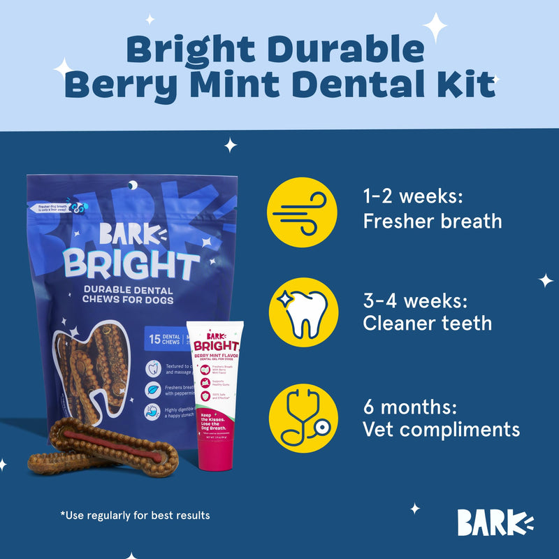 [Australia] - Barkbox Bright Durable Dental Kit, 15 Chew Sticks & Toothpaste - Medium Breeds (Berry Mint Flavored) 