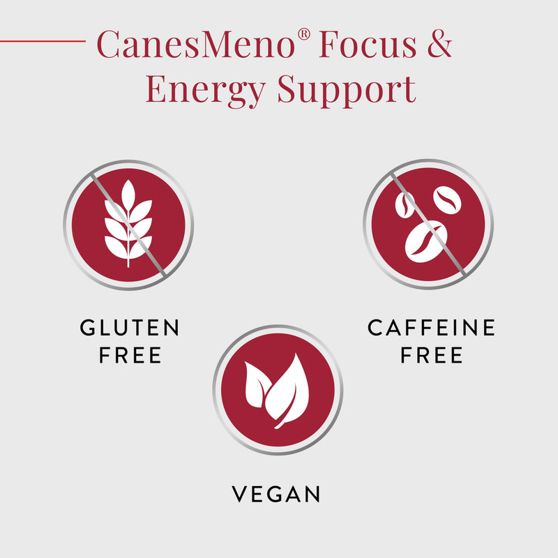 Menopause Support Focus & Energy Support 30 Tablets, containing Vitamin C, B5, B6 and Zinc.