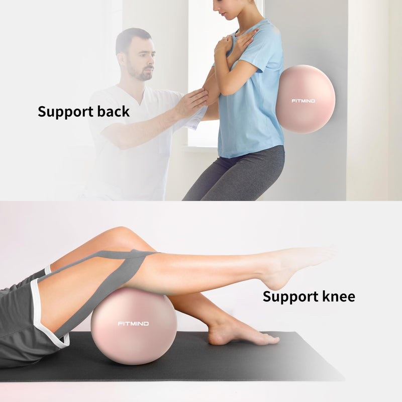 [Australia] - Pilates Ball 10 Inch Anti-Burst Slip Resistant Small Exercise Ball Mini Yoga Ball for Fitness, Core Training, Physical Therapy, Balance, Stability, Stretching 200kg 440lbs Capacity Pink 