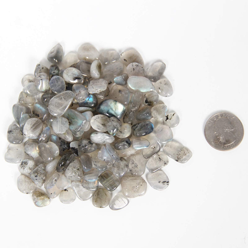 [Australia] - 1.1lb Natural Crushed Grey Moonstone Labradorite Crystal Tumbled Chips-Grey Labradorite Healing Crystals Chips Bulk, Crushed Crystal Gemstones for Crafts, Beautiful Package for Gift (Grey Moonstone) 