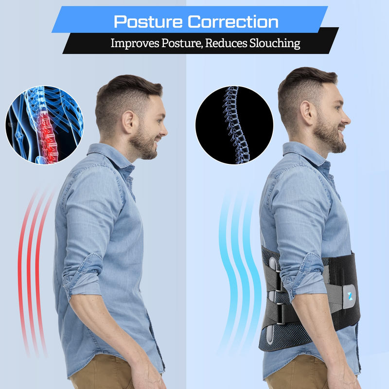 [Australia] - NEENCA Lower Back Brace for Lower Back Pain Relief, Medical Grade Lumbar Support Belt for Women Men, Herniated Disc,Lumbar Strain,Sciatica, Scoliosis (Black, Large) Blueblack 