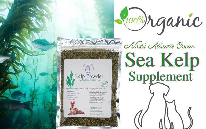 Kelp Powder for Dogs/Cats, Natural North Atlantic Ocean Sea Kelp, Vitamins Minerals and Antioxidants for Ultimate Health (4 Ounce) 4 ounce - PawsPlanet Australia