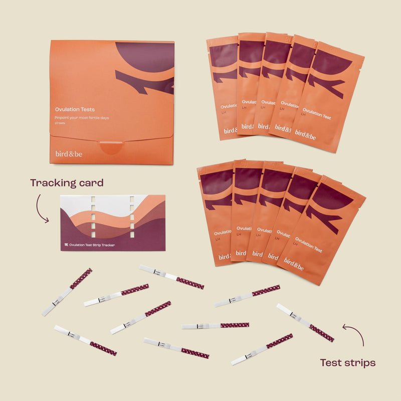 bird&be Ovulation Test Strips (LH) | 10 High-Accuracy Predictor Kits | Track Fertile Window & LH Surge | Eco-Friendly Low-Waste Design | Easy Dip & Read Results | TTC Fertility Monitor White 10 LH Strips