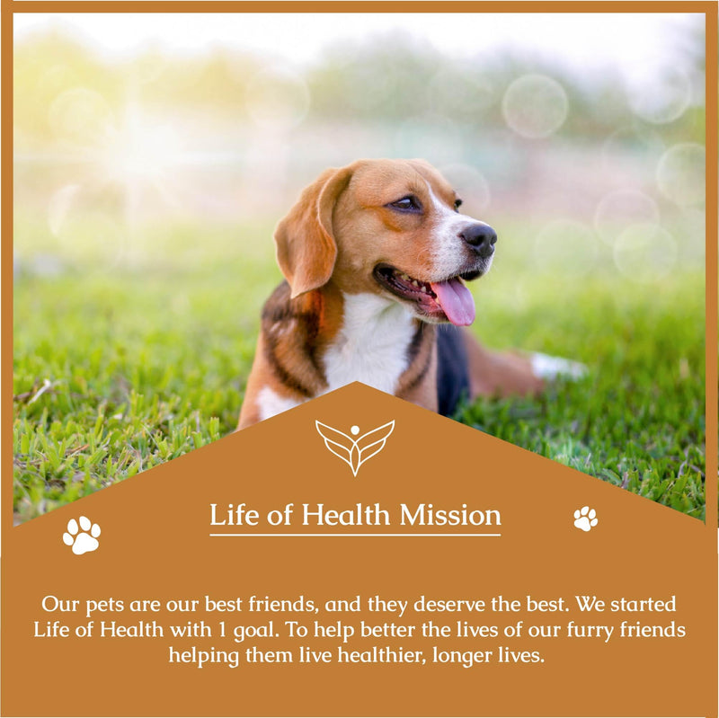 Natural Yeast Infection Treatment for Dogs | Supports Healthy Itch Relief, Inflammation Relief, Allergy Relief & More | Dog Yeast Ear Infection Treatment | Dog Itch Relief | Dog Allergy Relief - PawsPlanet Australia