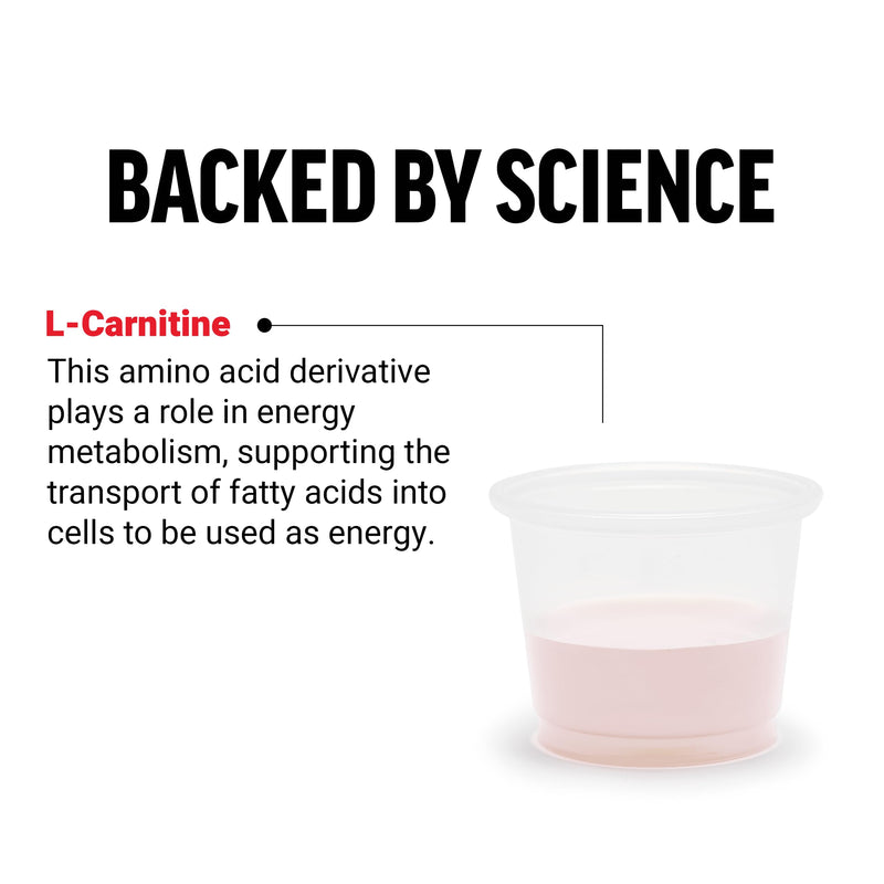 [Australia] - Force Factor L Carnitine Supplement, Liquid L-Carnitine 3000 mg to Help Turn Fat Into Energy, Support Muscle Recovery, and Boost Cellular Energy, Maximum Strength, Non-GMO, Berry Flavor, 16 Oz. 