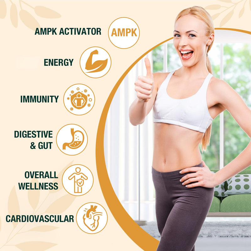 [Australia] - Liposomal Berberine HCL Supplement Liquid 3000mg - High Absorption Berberine Drops with Ceylon Cinnamon - 12-in-1 Formula AMPK Activator, Sugar Free - 2 fl oz 2 Fl Oz (Pack of 1) 