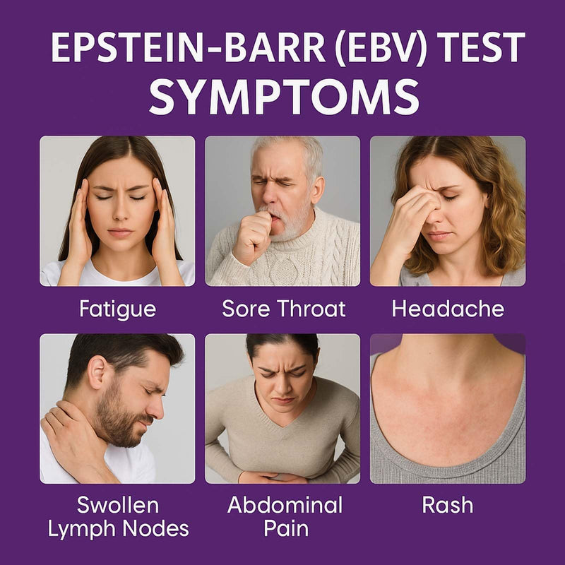 Epstein Barr (EBV) at-Home Test Kit | Detects IgG Response to VCA & EBNA | 15-Minute Rapid Result | Easy Fingerstick Sample