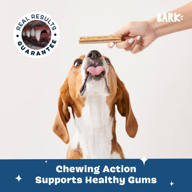 [Australia] - Barkbox Bright Original Dog Dental Kit, 30 Teeth Cleaning Chew Sticks & Toothpaste - Medium Breeds 