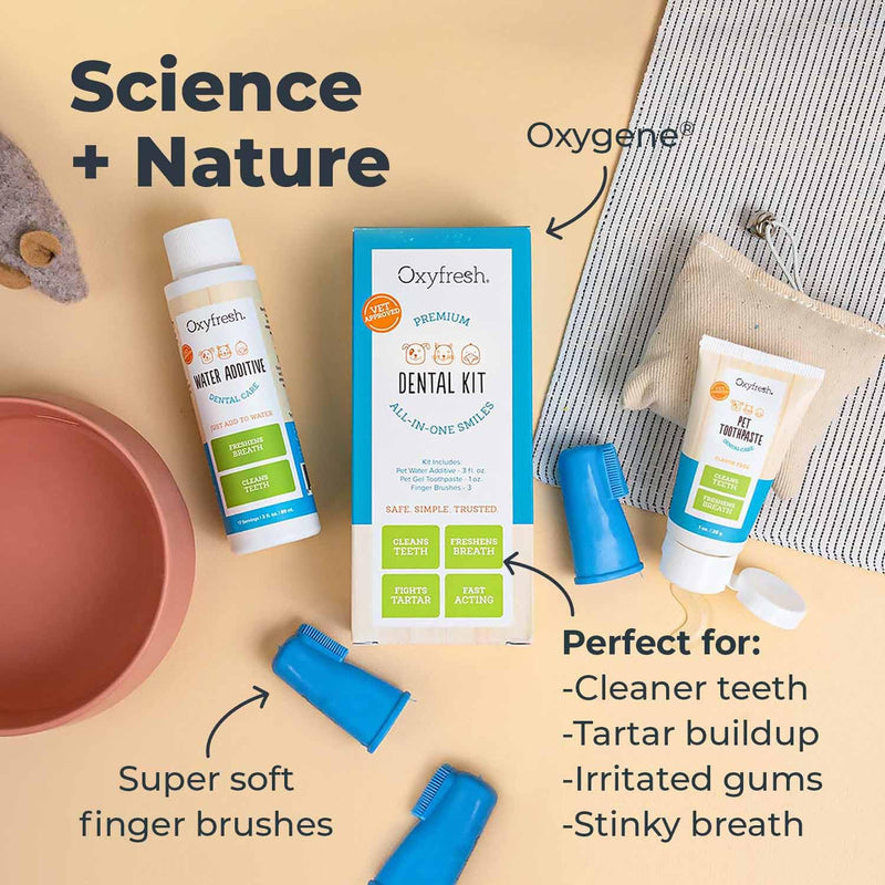Oxyfresh Premium Pet Dental Kit for Dogs & Cats – Easy Solution for Fresh Breath, Clean Teeth, Control Plaque & Tartar – Vet Formulated Pet Toothpaste 1oz + Water Additive 3oz + 3 LG Brushes Kit Small Kit