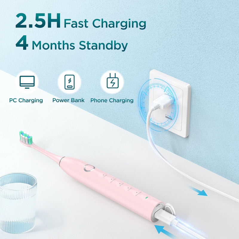 Electric Toothbrush for Adults with 8 Brush Heads, Sonic Toothbrush Rechargeable with a Holder & Travel Case, 2.5 Hours Charge for 120 Days Use Pink 1 Count (Pack of 1)