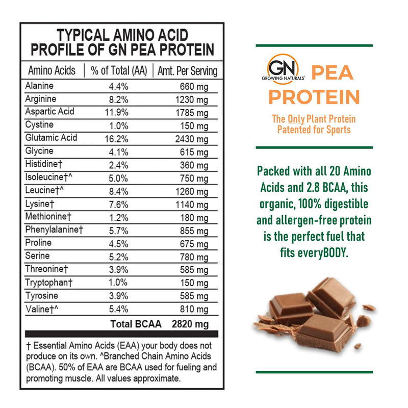 [Australia] - Raw Pea Protein Powder, Vegan Plant Based Protein, BCAA, Low-Carb, Low-Sugar, Chocolate Power, 1 Pound (Pack of 1) 15.8 Ounce (Pack of 1) 