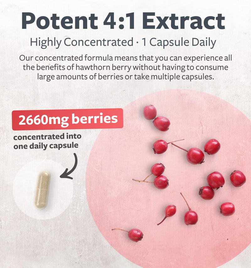 [Australia] - Super Potent Hawthorn Berry Extract Capsules - Hawthorn Berry Supplement made from Extra Strength Concentrate to Support Heart and Digestive Health - Vegan Non-GMO & Gluten Free (4 Month Supply) 120 Count (Pack of 1) 