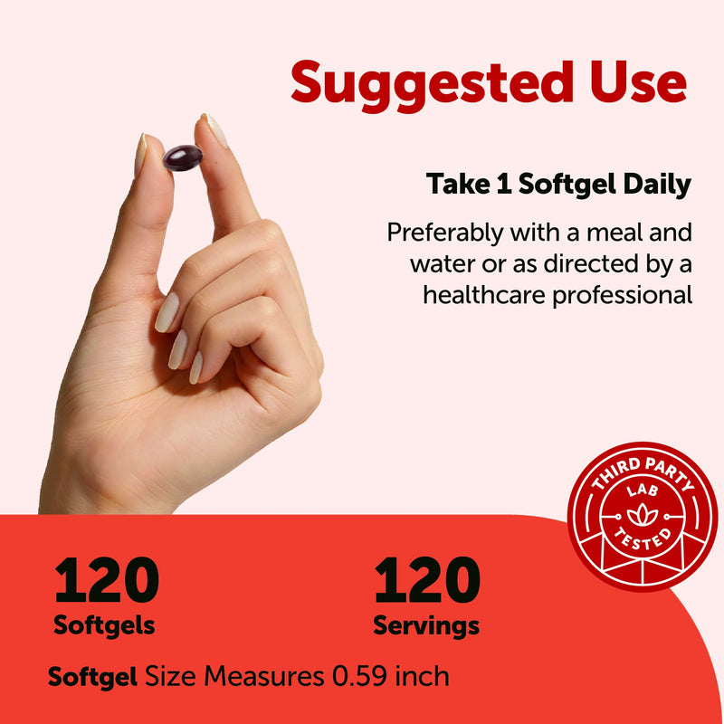 Micro Ingredients Astaxanthin 12mg Per Serving with MCT Oil, 120 Softgels | 4 Month Supply. Natural Microalgae Sourced Astaxanthin Supplement. Easy-to-Swallow. Non-GMO, Gluten Free, Soy Free. 120 Count (Pack of 1)