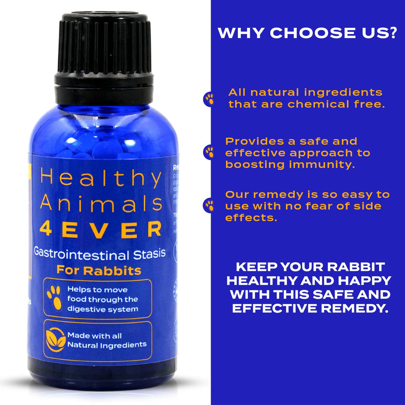 Healthy Animals 4Ever All-Natural Rabbit Gastrointestinal Stasis Treatment | Effective Homeopathic Support for GI Stasis - Promotes Healthy Digestion Rabbit Digestive Health Tablets | 300 Count - PawsPlanet Australia