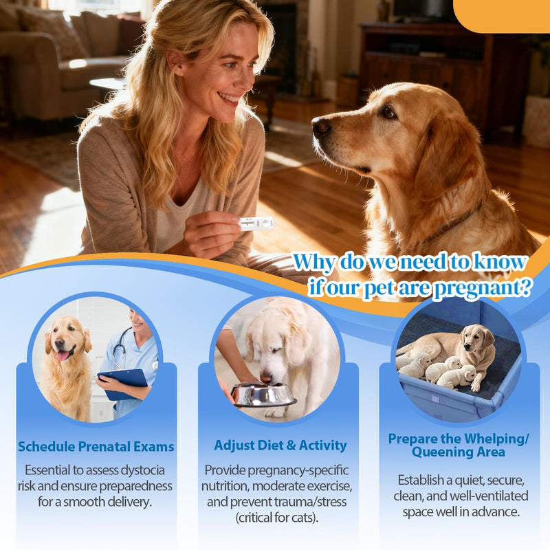 Dog & Cat Pregnancy Test Kit – Home Urine Test, Fast 5-Minute Results, Easy-to-Use for Your Pet’s Well-Being 1 Pack