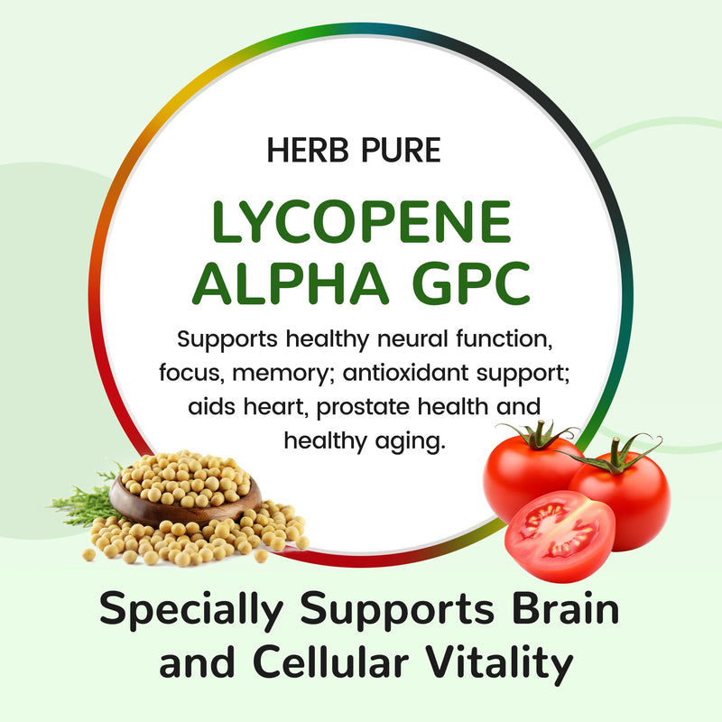 Multi Vitamin Complex Daily Multivitamin 120 Capsules (2 Packs) | 28 Essential Vitamins & Minerals with Active Vitamins for Men and Women, Superfood Blend, Alpha GPC – Made in USA 60 Count (Pack of 2)