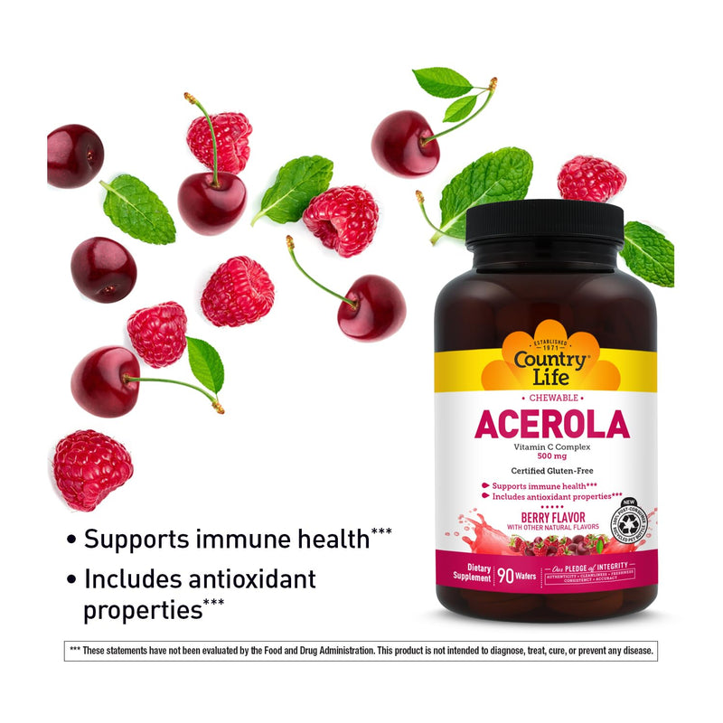 Country Life Acerola Vitamin C Complex 500 mg Chewable Wafers, 90 Count | Berry-flavored daily support for immune health and antioxidant activity with citrus bioflavonoids and rose hips 90 Count (Pack of 1)
