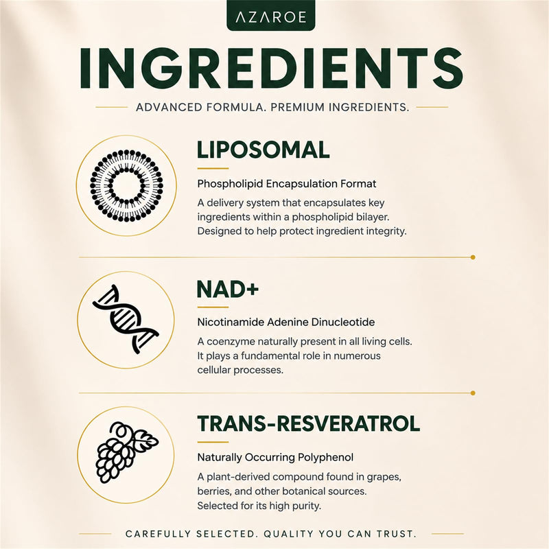 Liposomal NAD+ & Trans-Resveratrol 800mg Softgels, NMN Alternative More Efficient Than NMN, High Absorption, Actual NAD+ Supplement for Cellular Repair, 60 Softgels (60 Count (Pack of 2)) 60 count (Pack of 2)