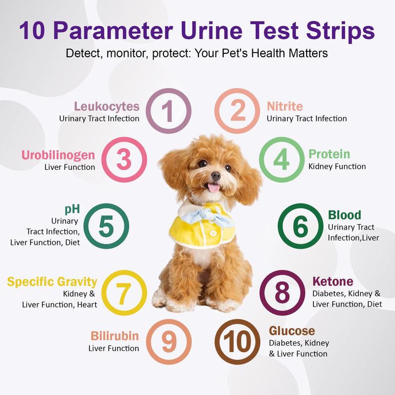 [Australia] - Pet Urine Test Strips ‚Äì 10 Parameter Cat & Dog Urine Test Kit, at-Home UTI Test for Cats & Dogs, Easy to Use, Fast Results 